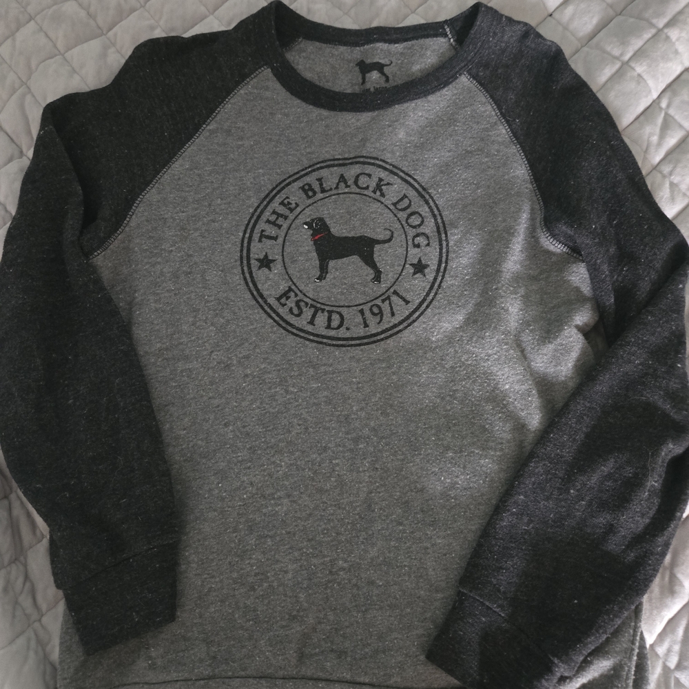 The Black Dog Boy's Gray Pullover
